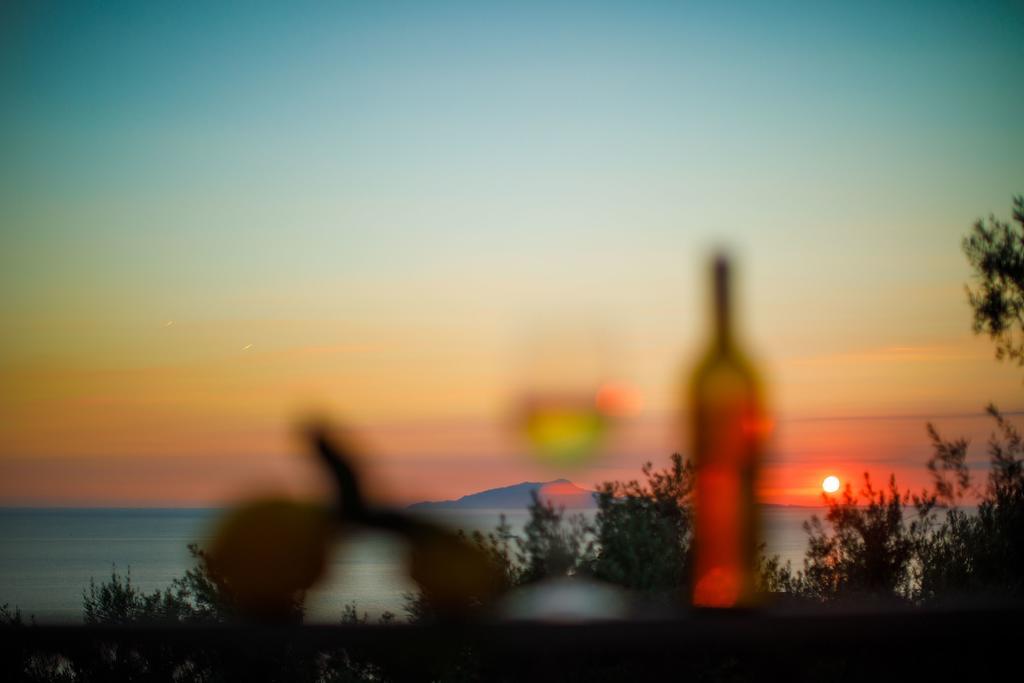 Il Nido Del Gabbiano Lejlighed Massa Lubrense Eksteriør billede
